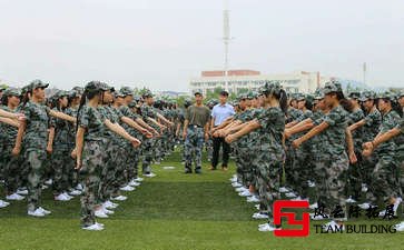 軍訓團建心得體會500字