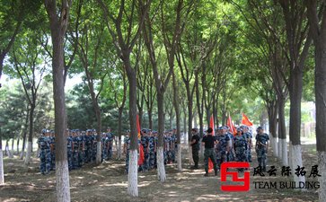 300字軍訓(xùn)心得體會(huì)6篇