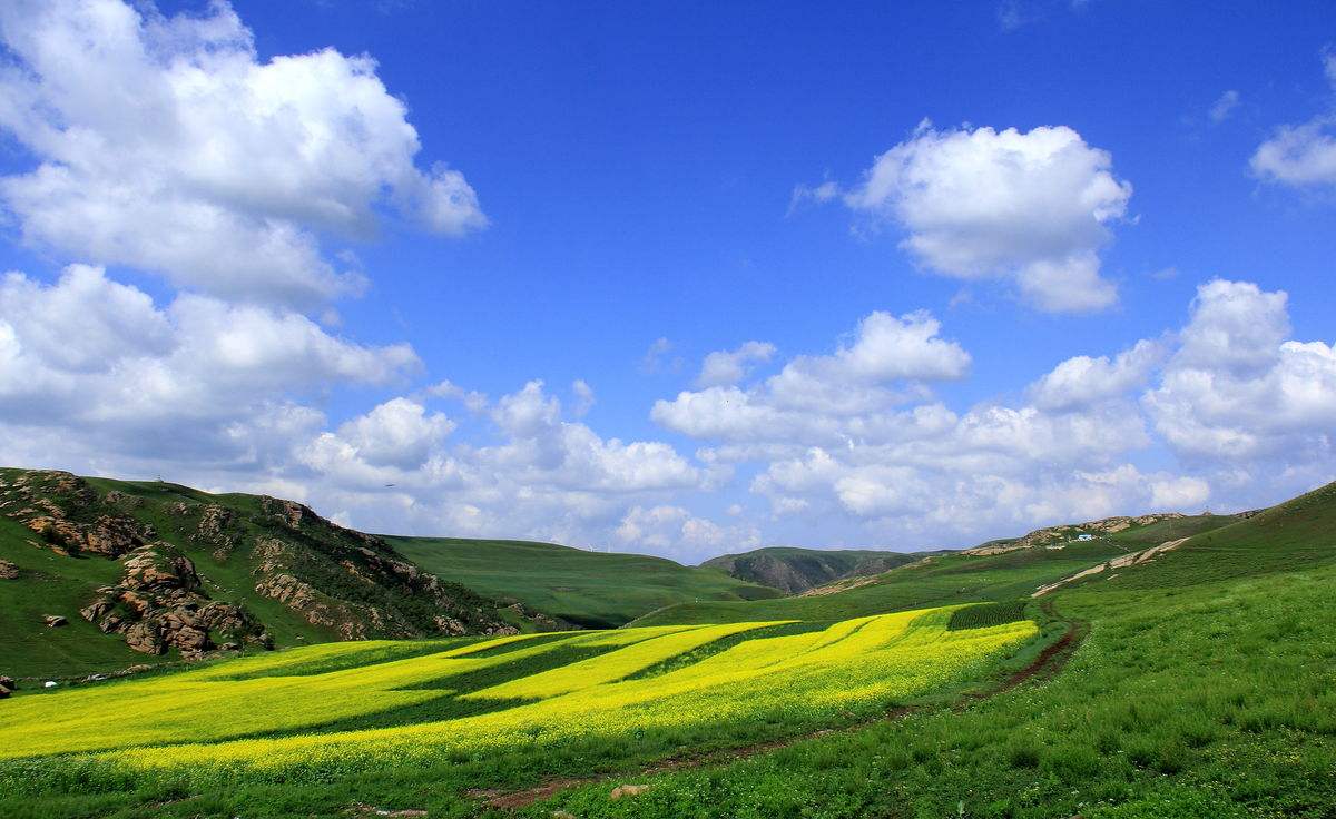 黃花溝景區(qū)團(tuán)建活動(dòng)心得體會(huì)