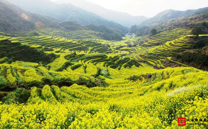 婺源篁嶺古村油菜花